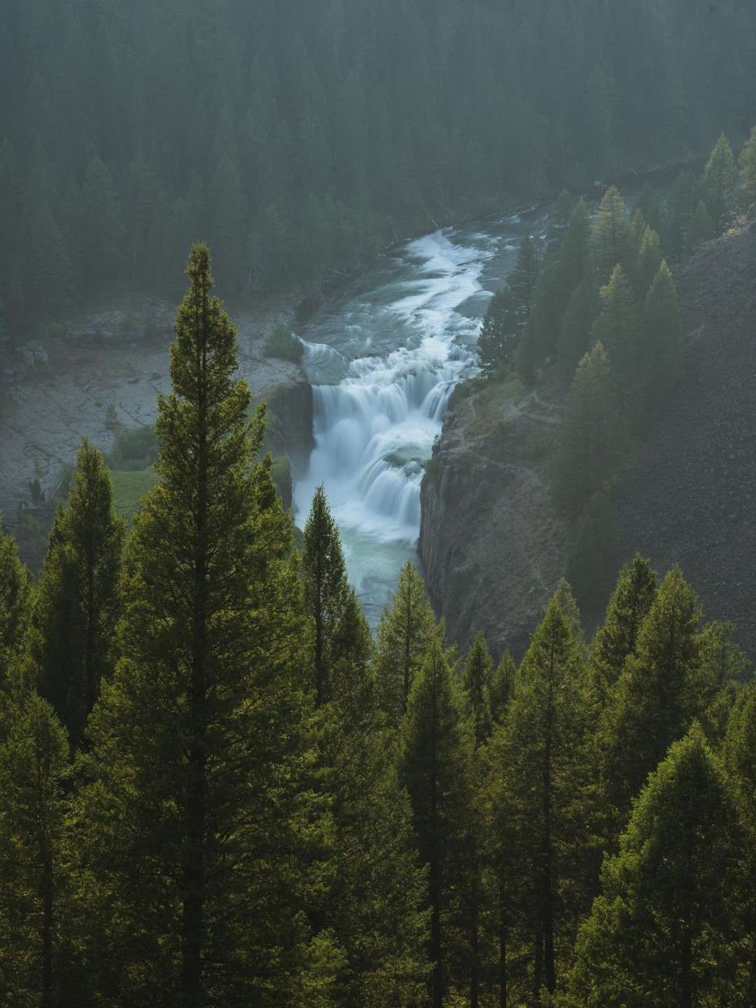 Awesome Image