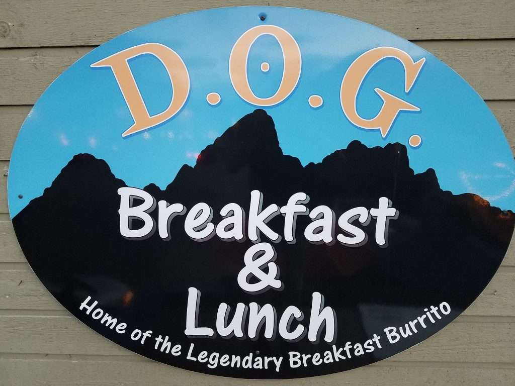d.o.g.-outside-01