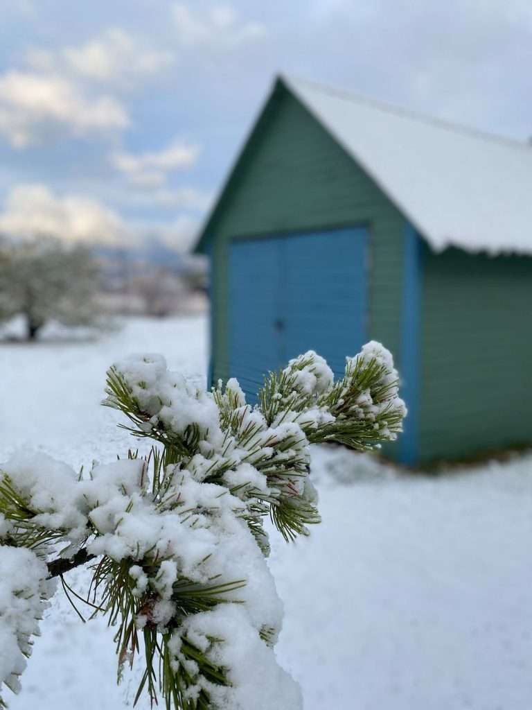 food-shed-idaho-outside-02