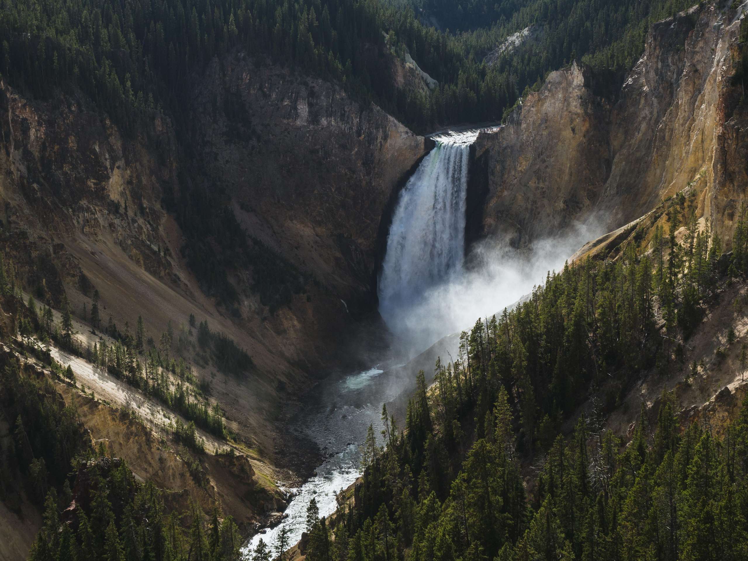 grand-canyon-of-yellowstone-lower-falls-landscape-photography-dana-ramos-photo